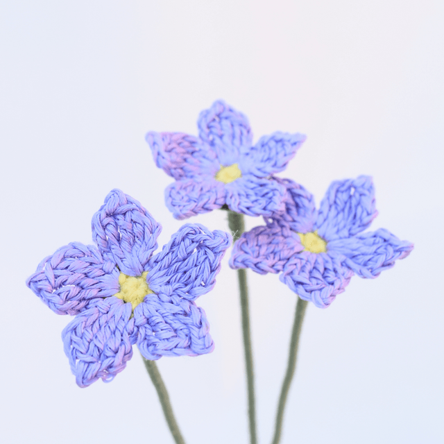 Fleur des champs