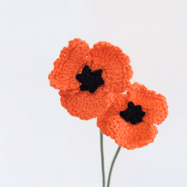 Coquelicot