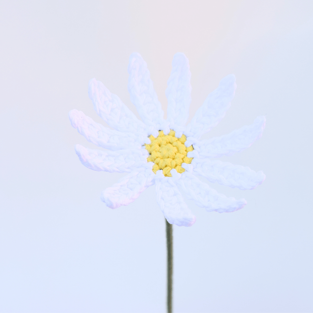 Marguerite